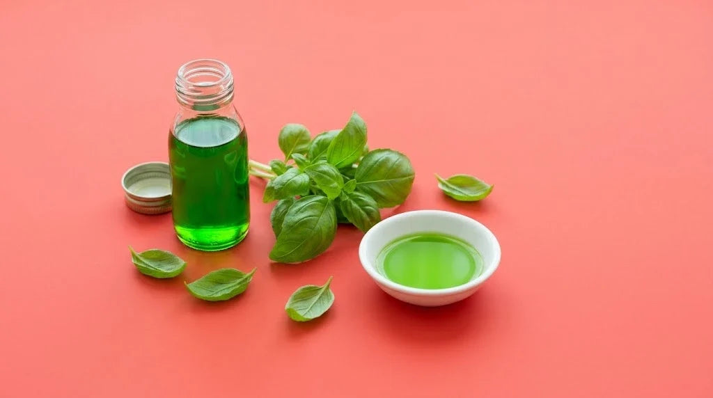A bottle and a dish of bright green basil oil with fresh basil on a tomato-red background