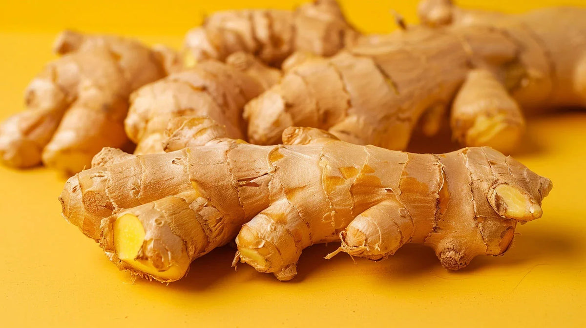 Fresh ginger roots on a bright yellow background