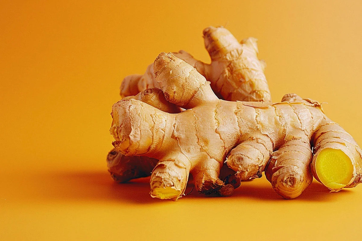 A fresh ginger root with one cut end on an orange background