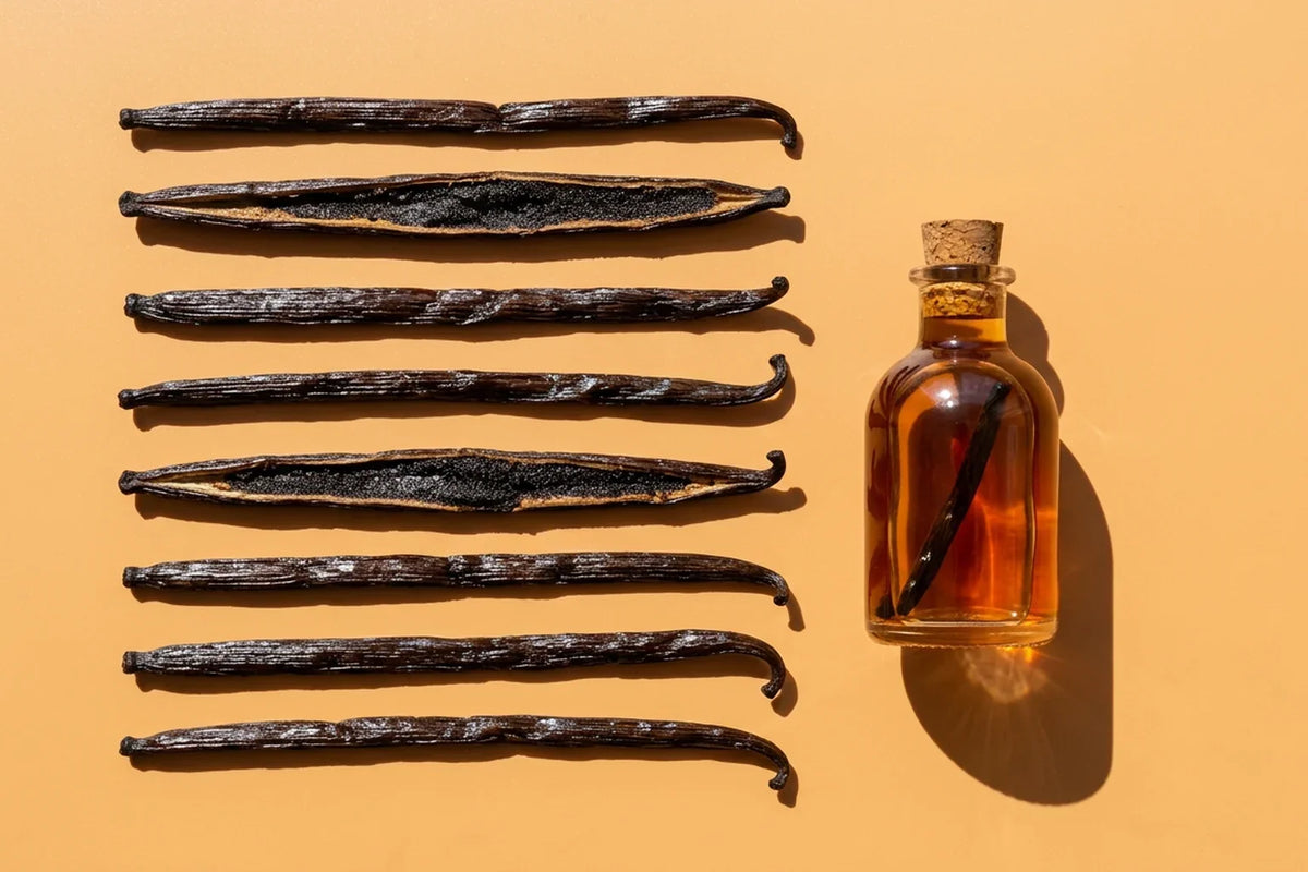 Vanilla beans in a neat row beside a small glass bottle of amber vanilla extract on an apricot background
